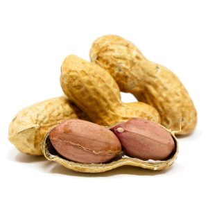 bird seed, wild bird seed, sunflower seeds for birds, safflower seeds for birds, bird seeds online, safflower seeds, finch food, sunflower chips, sunflower chips for birds, cracked corn bird seed, cracked corn for birds, corn bird seed