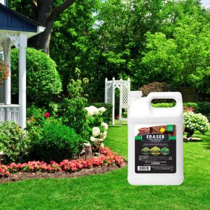 Weed Control