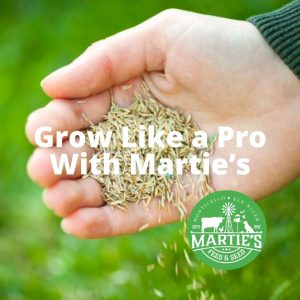 25 0 6 30%STU Slow Release fertilizer, fertilizer, potash fertilizer, potassium fertilizer, high potassium fertilizer, potassium for plants, phosphorus and potassium fertilizer, 0 0 60 fertilizer, phosphate fertilizer, high phosphorus fertilizer, super phosphate fertilizer