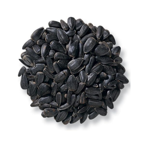 black oil sunflower bird seed, sunflower bird seed, black sunflower seeds for birds, bulk black oil sunflower seeds, bird sunflower seeds bulk
