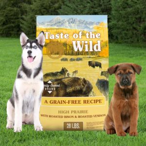 Taste of the Wild Dog Food, TOW High Prairie Bison Dog Food 28 lbs., bird seed, fertilizer, food plots, deer plots, weed killer, herbicide, grass seed, livestock feed store near me, animal feed suppliers near me, animal feed store, feed store near me, chick starter feed, chicken feed, grower feed for chickens, poultry feed, deer feed, duck feed, goat feed, rabbit feed, horse feed, game bird grower feed, sheep feed, hog feed, feed for livestock, broiler feed, geese food, poultry feed near me, bug killer, insecticide, rodent killer