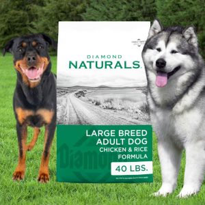 Diamond Natural LB Chicken & Rice Dog Food 40 lbs, bird seed, fertilizer, food plots, deer plots, weed killer, herbicide, grass seed, livestock feed store near me, animal feed suppliers near me, animal feed store, feed store near me, chick starter feed, chicken feed, grower feed for chickens, poultry feed, deer feed, duck feed, goat feed, rabbit feed, horse feed, game bird grower feed, sheep feed, hog feed, feed for livestock, broiler feed, geese food, poultry feed near me, bug killer, insecticide, rodent killer