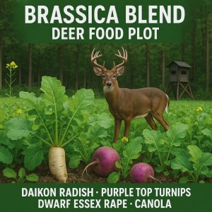 brassica food plot mix, best brassica blend for deer, brassica blend food plot, brassica blend food plot mix, brassica blend food plot seed