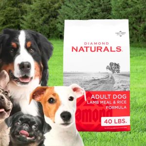 Diamond Natural Adult Lamb and Rice Dog Food 40 lbs., Diamond Natural Lamb & Rice Dog Food 40 lbs., Diamond Natural Dog Food, bird seed, fertilizer, food plots, deer plots, weed killer, herbicide, grass seed, livestock feed store near me, animal feed suppliers near me, animal feed store, feed store near me, chick starter feed, chicken feed, grower feed for chickens, poultry feed, deer feed, duck feed, goat feed, rabbit feed, horse feed, game bird grower feed, sheep feed, hog feed, feed for livestock, broiler feed, geese food, poultry feed near me, bug killer, insecticide, rodent killer