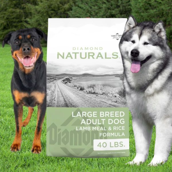 Diamond Natural LB Lamb & Rice Dog Food 40 lbs., Diamond Natural Dog Food, bird seed, fertilizer, food plots, deer plots, weed killer, herbicide, grass seed, livestock feed store near me, animal feed suppliers near me, animal feed store, feed store near me, chick starter feed, chicken feed, grower feed for chickens, poultry feed, deer feed, duck feed, goat feed, rabbit feed, horse feed, game bird grower feed, sheep feed, hog feed, feed for livestock, broiler feed, geese food, poultry feed near me, bug killer, insecticide, rodent killer