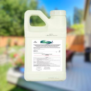 Bisect L Insecticide 1 Gallon, Insecticide
