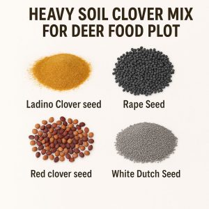 food plot seed, deer food plot seed, food plots for deer, deer plot seed, best food plot for deer, clover seed for deer, fall food plot seed, whitetail food plot seed, spring food plots for deer, deer seed company, fall food plots for deer, summer food plots for deer, best deer plot seed