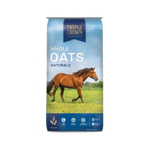 oats for horses, whole oats for horses, crimped oats for horses, rolled oats horse feed, oats horse feed, feed oats for sale