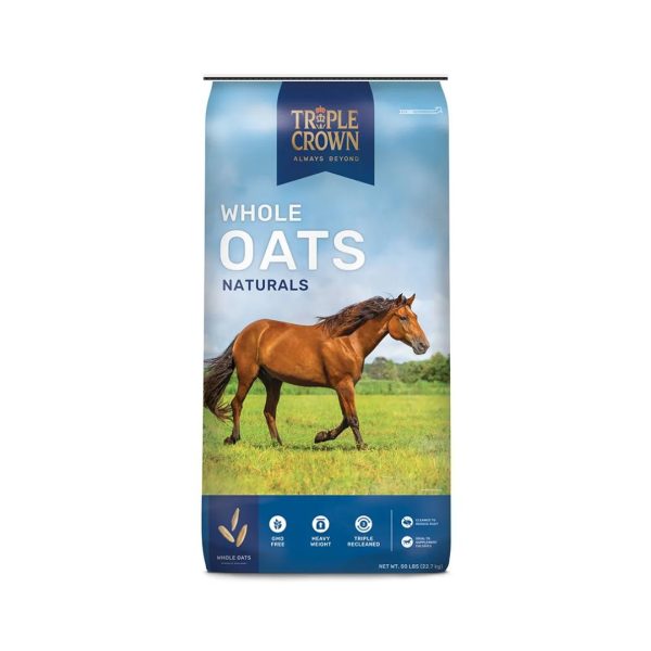 oats for horses, whole oats for horses, crimped oats for horses, rolled oats horse feed, oats horse feed, feed oats for sale