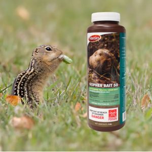 gopher bait, gopher poison, gopher poison pellets, gopher pellets, gopher bait poison, best gopher bait