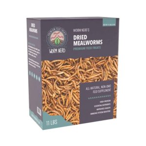 mealworm bird food, mealworm bird feed, meal worm bird food