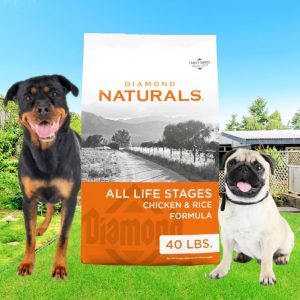 Diamond Natural Chicken & Rice Dog Food 40 lbs., Diamond Natural Dog Food, bird seed, fertilizer, food plots, deer plots, weed killer, herbicide, grass seed, livestock feed store near me, animal feed suppliers near me, animal feed store, feed store near me, chick starter feed, chicken feed, grower feed for chickens, poultry feed, deer feed, duck feed, goat feed, rabbit feed, horse feed, game bird grower feed, sheep feed, hog feed, feed for livestock, broiler feed, geese food, poultry feed near me, bug killer, insecticide, rodent killer