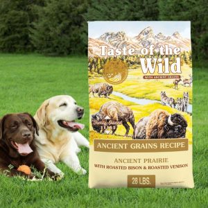 Taste of the Wild Ancient Prairie with Ancient Grains Dry Dog Food 28 lbs., Diamond Dog Food