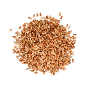 bird seed, wild bird seed, sunflower seeds for birds, safflower seeds for birds, bird seed online, safflower seeds, finch food, sunflower chips, sunflower chips for birds, cracked corn bird seed, cracked corn for birds, corn bird seed