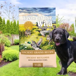TOW Ancient Wetlands Dog Food 28 lbs., Taste of the Wild TOW Ancient Wetlands Dog Food 28 lbs., Taste of the Wild Dog Food