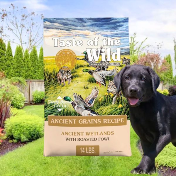 TOW Ancient Wetlands Dog Food 28 lbs., Taste of the Wild TOW Ancient Wetlands Dog Food 28 lbs., Taste of the Wild Dog Food
