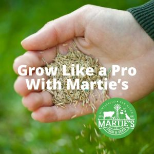 contractor grass seed, contractors mix grass seed, contractors blend grass seed, contractor seed, contractors seed mix