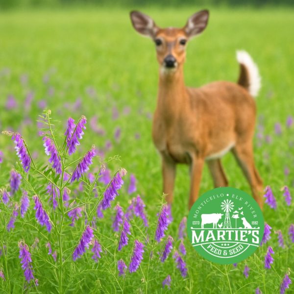 food plot seed, deer food plot seed, food plots for deer, deer plot seed, best food plot for deer, clover seed for deer, fall food plot seed, whitetail food plot seed, spring food plots for deer, deer seed company, fall food plots for deer, summer food plots for deer, best deer plot seed