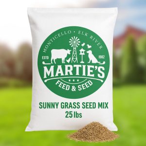 sunny grass seed, grass seed for sunny areas, best grass seed for sunny areas, grass for sunny areas, sunny mix grass seed, best grass for sunny areas