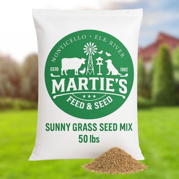 sunny grass seed, grass seed for sunny areas, best grass seed for sunny areas, grass for sunny areas, sunny mix grass seed, best grass for sunny areas