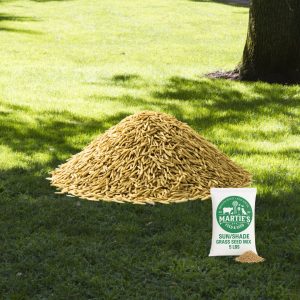 sun shade grass seed mix, grass seed for shade, sun and shade grass seed, sun shade grass seed, rapid grass sun and shade
