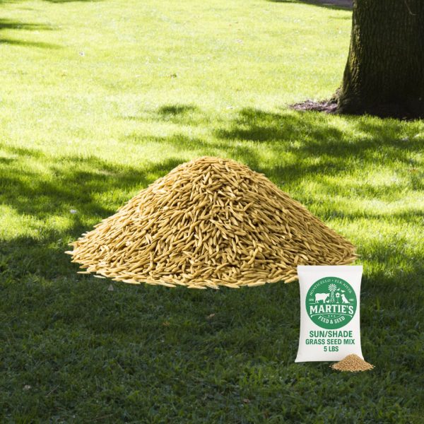 sun shade grass seed mix, grass seed for shade, sun and shade grass seed, sun shade grass seed, rapid grass sun and shade