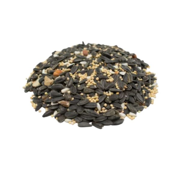 bird seed, wild bird seed, sunflower seeds for birds, safflower seeds for birds, bird seeds online, safflower seeds, finch food, sunflower chips, sunflower chips for birds, cracked corn bird seed, cracked corn for birds, corn bird seed