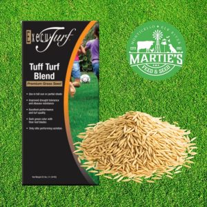 execu turf tuff turf blend, tuff turf seed mix, lesco tuf turf athletic seed mix, tuff turf grass seed mix, grass seed, grass seed near me, best lawn seed, best lawn grass seed, bulk grass seed, fast growing grass seed, shade grass seed, grass seed for sale