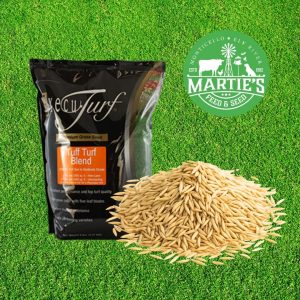 execu turf tuff turf blend, tuff turf seed mix, lesco tuf turf athletic seed mix, tuff turf grass seed mix, grass seed, grass seed near me, best lawn seed, best lawn grass seed, bulk grass seed, fast growing grass seed, shade grass seed, grass seed for sale