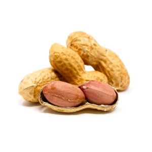 bird seed, wild bird seed, sunflower seeds for birds, safflower seeds for birds, bird seeds online, safflower seeds, finch food, sunflower chips, sunflower chips for birds, cracked corn bird seed, cracked corn for birds, corn bird seed