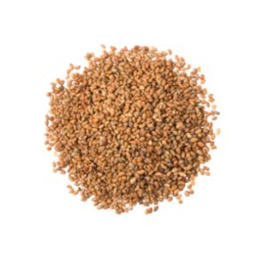 alfalfa food plot seed, alfalfa seed for deer, best alfalfa seed for deer, alfalfa food plot, alfalfa seed for food plot