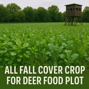 food plot seed, deer food plot seed, food plots for deer, deer plot seed, best food plot for deer, clover seed for deer, fall food plot seed, whitetail food plot seed, spring food plots for deer, deer seed company, fall food plots for deer, summer food plots for deer, best deer plot seed