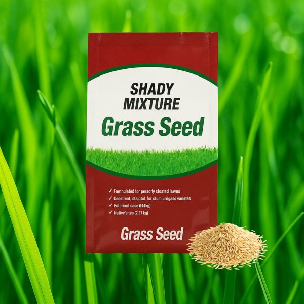 shady grass seed mix, grass seed for shade, shade seed mix, best grass seed for dense shade, extreme shade grass seed