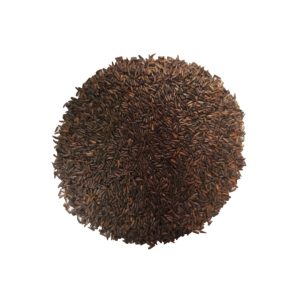thistle bird seed, nyjer bird seed, thistle bird food, thistle seed for finches, thistle for birds, thistle seed near me