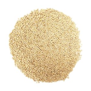 white millet bird seed, millet bird seed, white millet for birds, white millet bulk, white millet for sale, bird seed with millet