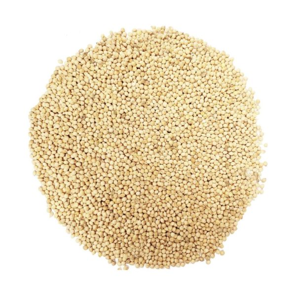 white millet bird seed, millet bird seed, white millet for birds, white millet bulk, white millet for sale, bird seed with millet