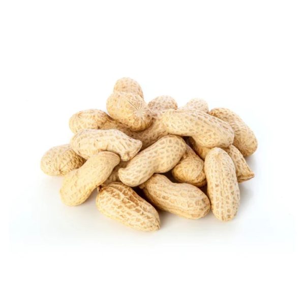 bird seed, wild bird seed, sunflower seeds for birds, safflower seeds for birds, bird seeds online, safflower seeds, finch food, sunflower chips, sunflower chips for birds, cracked corn bird seed, cracked corn for birds, corn bird seed, black oil sunflower bird seed, sunflower bird seed, black sunflower seeds for birds, bulk black oil sunflower seeds, bird sunflower seeds bulk