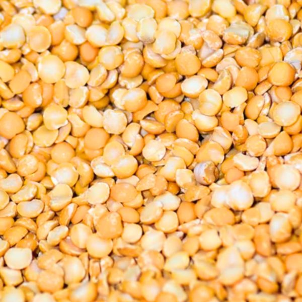 bird seed, wild bird seed, sunflower seeds for birds, safflower seeds for birds, bird seeds online, safflower seeds, finch food, sunflower chips, sunflower chips for birds, cracked corn bird seed, cracked corn for birds, corn bird seed, black oil sunflower bird seed, sunflower bird seed, black sunflower seeds for birds, bulk black oil sunflower seeds, bird sunflower seeds bulk