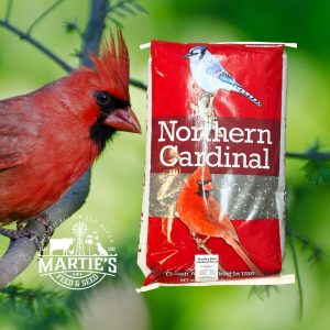 food basics bird seed, kaytee basic blend wild bird food, cardinal blend bird seed, cardinal bird seed