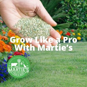 contractor grass seed, contractors mix grass seed, contractors blend grass seed, contractor seed, contractors seed mix
