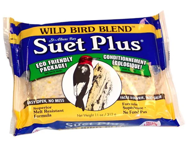 Suet for backyard birds